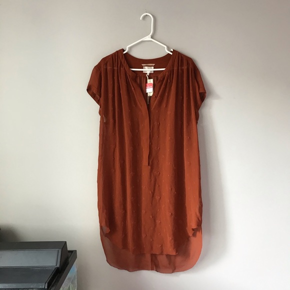 Aritzia Dresses & Skirts - NWT Wilfred Le Fou Silk George sheer dress